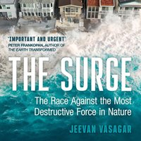 Surge - Jeevan Vasagar - audiobook