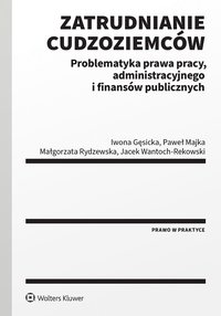 Zatrudnianie cudzoziemców. Problematyka prawa pracy, administracyjnego i finansów publicznych - Iwona Gęsicka - ebook