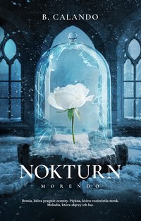 Nokturn - B. Calando - ebook
