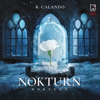 Nokturn - B. Calando - audiobook