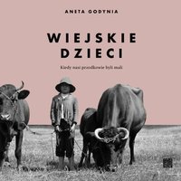 Wiejskie dzieci. Kiedy nasi przodkowie byli mali - Aneta Godynia - audiobook