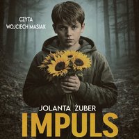 Impuls - Jolanta Żuber - audiobook