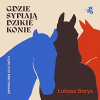Gdzie sypiają dzikie konie - Łukasz Barys - audiobook