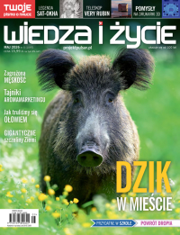 Wiedza i Życie. Numer 5/2026 - Opracowanie zbiorowe - eprasa