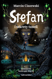Stefan i sekrety tuneli - Marcin Ciszewski - ebook