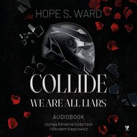Collide. We Are All Liars - Hope S. Ward - audiobook