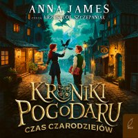 Kroniki Pogodaru. Czas czarodziejów. Tom 1 - Anna James - audiobook