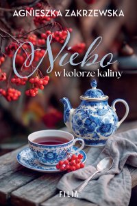 Niebo w kolorze kaliny - Agnieszka Zakrzewska - ebook