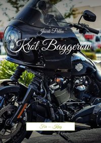 Król Baggerów - Jacek Pełka - ebook