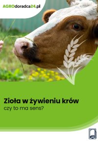 Zioła w żywieniu krów – czy to ma sens? - Joanna Cała - ebook