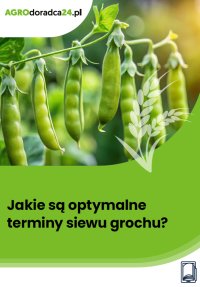 Jakie są optymalne terminy siewu grochu? - Magdalena Świąder - ebook