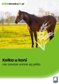 Kolka u koni – nie zawsze winne są jelita - Kinga Szczepanik - ebook