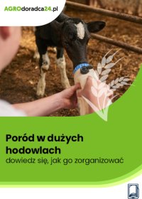Poród w dużych hodowlach – dowiedz się, jak go zorganizować - Joanna Cała - ebook