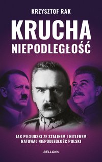 Krucha niepodległość. Wydanie nowe uzupełnione - Krzysztof Rak - ebook