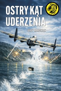 Ostry kąt uderzenia - Jerzy Marciniak - ebook