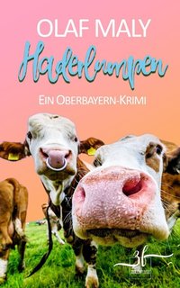 Haderlumpen - Olaf Maly - ebook