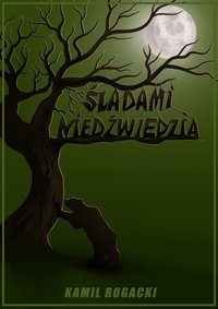 Śladami Niedźwiedzia - Kamil Rogacki - ebook