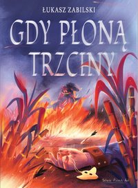 Gdy płoną trzciny - Łukasz Zabilski - ebook