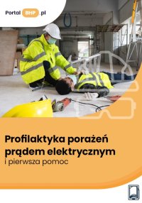 Profilaktyka porażeń prądem elektrycznym i pierwsza pomoc - Adam M. Pietrzak - ebook