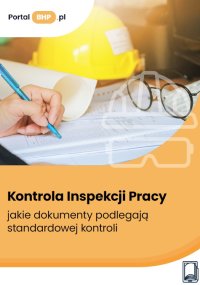 Kontrola Inspekcji Pracy. Jakie dokumenty podlegają standardowej kontroli? - Kamil Szyszkiewicz - ebook