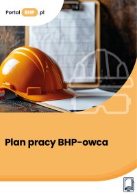 Plan pracy BHP-owca - Kamil Szyszkiewicz - ebook