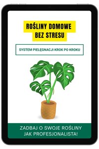 Rośliny domowe bez stresu. System pielęgnacji krok po kroku! - Bogumiła Pietrzak-Walesiak - ebook