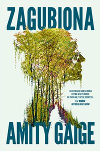 Zagubiona - Amity Gaige - ebook