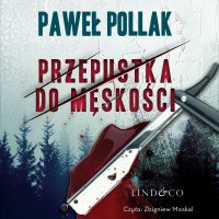 Przepustka do męskości - Paweł Pollak - audiobook