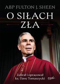 O siłach zła - Fulton Sheen - ebook