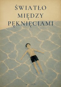 Światło między pęknięciami - M.Cień - ebook