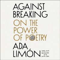 Against Breaking - Ada LimA³n - audiobook