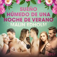 SueÃ±o hÃºmedo de una noche de verano - Edholm - audiobook