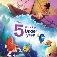 Fem minuter under ytan - Rubensson - audiobook