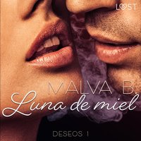 Deseos 1: Luna de miel - B. - audiobook