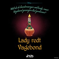 Een verdraaid verhaal - Lady redt Vagebond - Lingen - audiobook