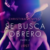 Se busca obrero - parte 2 - Tempest - audiobook