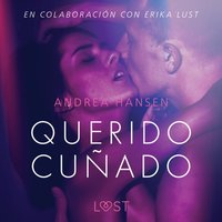 Querido cuÃ±ado - Hansen - audiobook