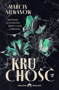 Kruchość - Marcin Silwanow - ebook