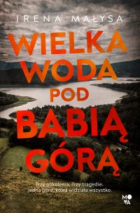 Wielka woda pod Babią Górą - Irena Małysa - ebook
