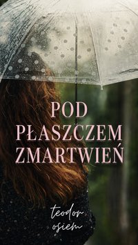 pod płaszczem zmartwień - teodor osiem - ebook