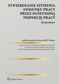 Stwierdzanie istnienia stosunku pracy przez Państwową Inspekcję Pracy. Komentarz - Łukasz Łaguna - ebook