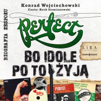 Perfect. Bo idole po to żyją - Konrad Wojciechowski - audiobook