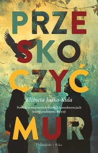 Przeskoczyć mur - Elżbieta Jodko-Kula - ebook
