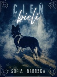 Cień bieli - Sofia Brodzka - ebook