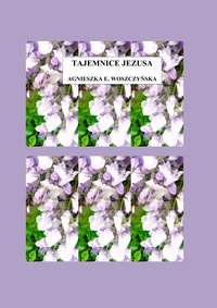 Tajemnice Jezusa (część 4) - Agnieszka E. Woszczyńska - ebook