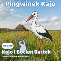 Pingwinek Kajo. Odcinek 9: Kajo i Bocian Bartek - Jakub Leśniak - audiobook