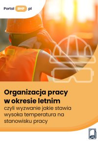 Organizacja pracy w okresie letnim, czyli wyzwanie jakie stawia wysoka temperatura na stanowisku pracy - Kamil Szyszkiewicz - ebook