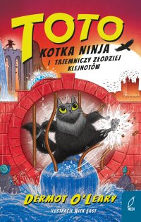 Toto. Kotka ninja i tajemniczy złodziej klejnotów. Tom 4 - Dermot O Leary - ebook