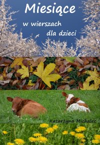 Miesiące w wierszach dla dzieci - Katarzyna Michalec - ebook