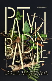 Patyki, badyle - Urszula Zajączkowska - ebook